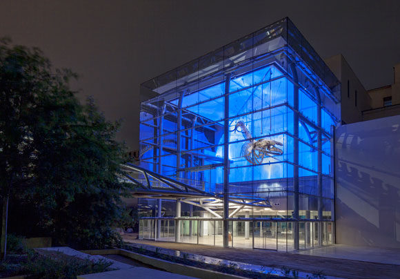 CO_NHM_ArtGray-Photo_3763-Master-cropX_MEDIA Photo by Art Gray.